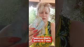 Загрози для Рівненської області. Прогноз на 3 тижні // таролог Irina Klever