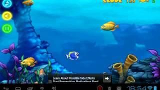 Hungry Shark  must survive to become a shark free android game