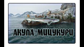 Русская Рыбалка 3 Камчатка. Акула мицукури.