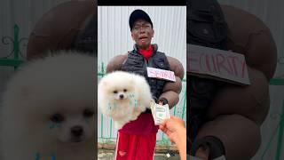 ToRung short film: don't sell puppies