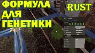 Гайд по СКРЕЩИВАНИЮ  и  ГЕНЕТИКЕ  В РАСТ/RUST, сделай сам идеальный ген