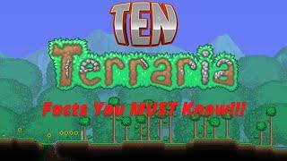 10 SUPER EPIC Terraria facts you NEED to KNOW!!!!