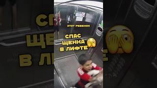 Мальчик спас собаку в лифте 
