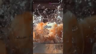 Learn More about Pistol Shrimps