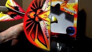 Taibao Flapping Wing RC Bird Aircraft Review and Flight(ornithopter)