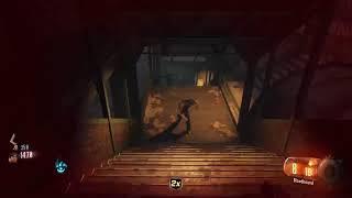 Cod zombies wt my friend