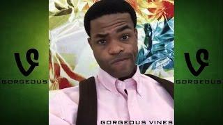 KingBach Vines (ALL VINES HD) 