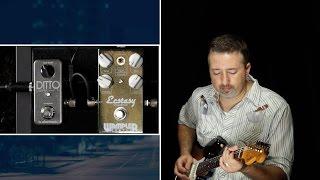 Taming The Ditto Looper For Blues Guitar (Texas Blues Alley Guide)