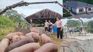 Continue to sell all the pigs to have money to pour concrete on the roof. ( Ep 364 )