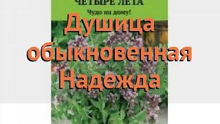 Душица обыкновенная Надежда (nadezhda nadezhda)  Надежда обзор: как сажать, семена душицы Надежда