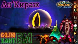 Ан'Кираж — СОЛО Хант БМ !!! (WOTLK 3.3.5a) Ahn'Qiraj SOLO Hunter BM