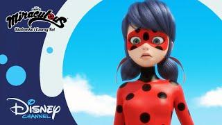  Pieścienie | Miraculous: Biedronka i Czarny Kot | Disney Channel Polska