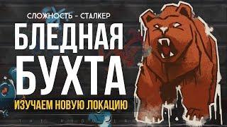 БЛЕДНАЯ БУХТА "ERRANT PILGRIM" ► THE LONG DARK (СТРИМ)