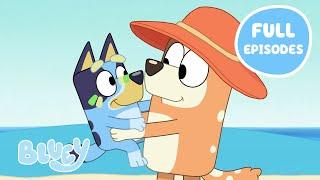 Bluey's Sunny Adventure Full Episodes ️ | Featuring The Pool, The Beach, and More! | Bluey