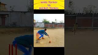 Clean Bowled || wide yorker to perfect wicket yorker @cricketcardio