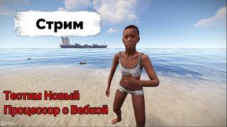 Первый Стрим с Вебкой! Тестируем Новый Процессор на Глобальном вайпе в Rust/Раст