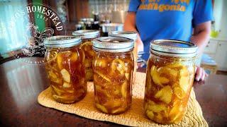 Yes, I Canned It! Zucchini Apple Pie Filling w/ Ph test