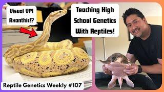 Teaching High School Genetics With Reptiles! Ft. @403Fauna - RGW Ep 107