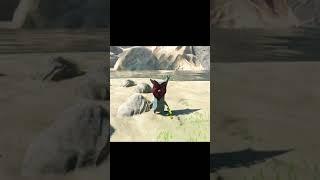 Did not see that coming #funny #gaming #zelda