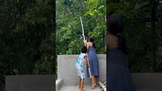 Reach, pluck, drop. Repeat | Deepa Tudu #mangoseason #weather #tasteofindia #minivlog #mango #shorts