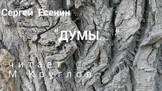 С.Есенин "ДУМЫ" читает М.Круглов