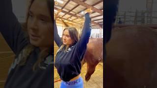 Beginner Vs Experienced Horse Owners!  #shorts #animals