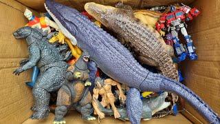 Hunting Godzilla vs Kong | Godzilla Monsterverse | Kong Action Figure | Toy Review