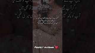 perfect husband ongoing YouTube novel #extremlovefulromanticveryboldnovel #shortsvideo