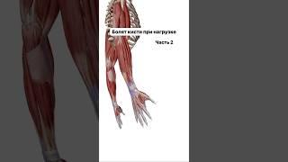 Болят кисти при нагрузки? #fitness#yoga#stretching#здоровье#растяжка#кисти#shortvideo#shorts