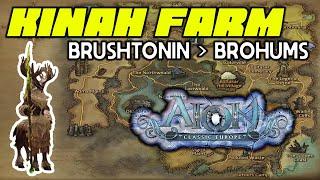 Aion Classic EU Easy Kinah Farm (Brohums)