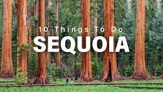 Top 10 Things To Do In Sequoia National Park, California In 2024