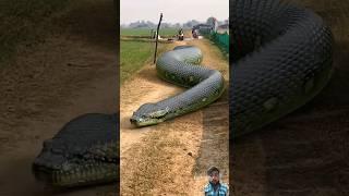 anaconda snake par2 #snake #anaconda #vfx #anacondalovers #cobra #animals #shorts #viral #trending