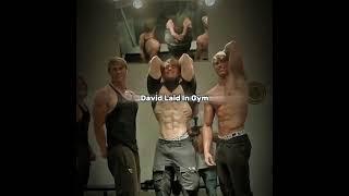 #gym #aesthetic #motivation #davidlaid #youtubeshorts