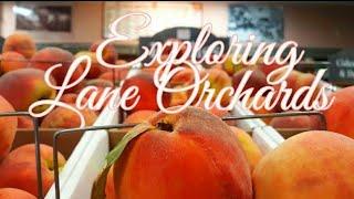 EXPLORING LANE ORCHARDS