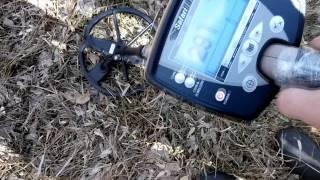 Minelab Safari. Смотрим первый коп, изучаем прибор вместе.