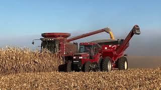 Case IH 2388 Shelling Corn