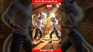Dad Cat saved his Family from Thieve#cat #catsoftiktok#shortsfeed#trendingshorts#viralshorts 82