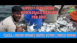 Fish export from India | Group Of Namma Family