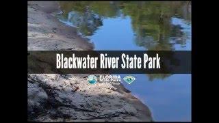 Firsthand Florida Fun: Blackwater River State Park