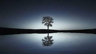  Relaxing Music for Calm, Focus, and Stress Relief 