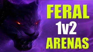 FERAL DRUID 1v2 ARENA Clutches - Dragonflight