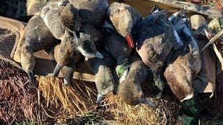 Texas duck hunt!! (catch clean cook)