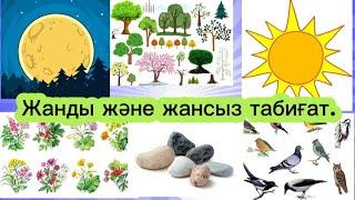 Жанды және жансыз табиғат. Жаратылыстану.