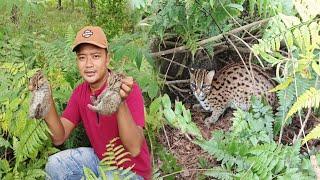 momen paling tak terlupakan! Mimpi apa aku bisa ketemu hewan langka dan cantik ini