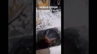 НОВАЯ СЕРИЯ ЩКИБИДИ ТУАЛЕт