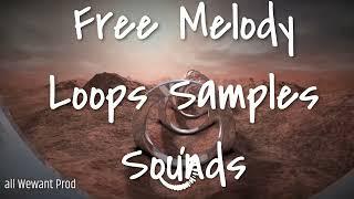 Free Melody Loops Samples Sounds