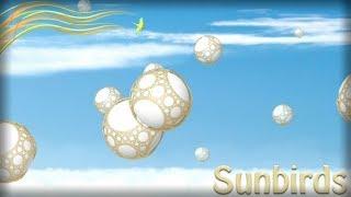 Sunbirds - Appsolute Games LLC Walkthrough