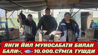 ЯНГИ ЙИЛ МУНОСАБАТИ БИЛАН БАЛИҚ НАРХИ 10.000СЎМГА  ТУШДИ УЛГРАМИЗ КЎРАМИЗ 