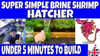 DIY BRINE SHRIMP HATCHERY