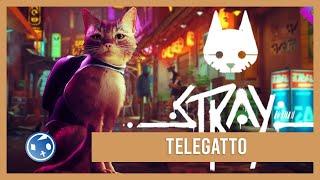 Stray - Trofeo "Telegatto" ("Télé à chat" Trophy)